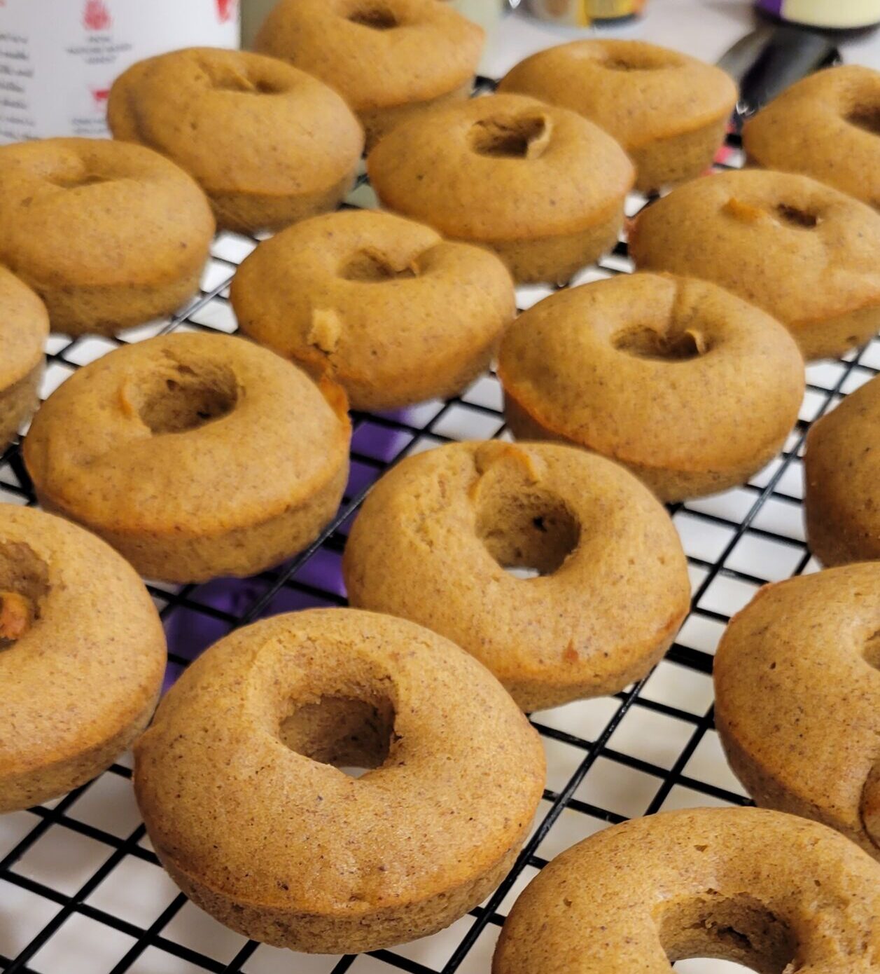 Pumpkin Cake Donuts – Shin & Ellie's website